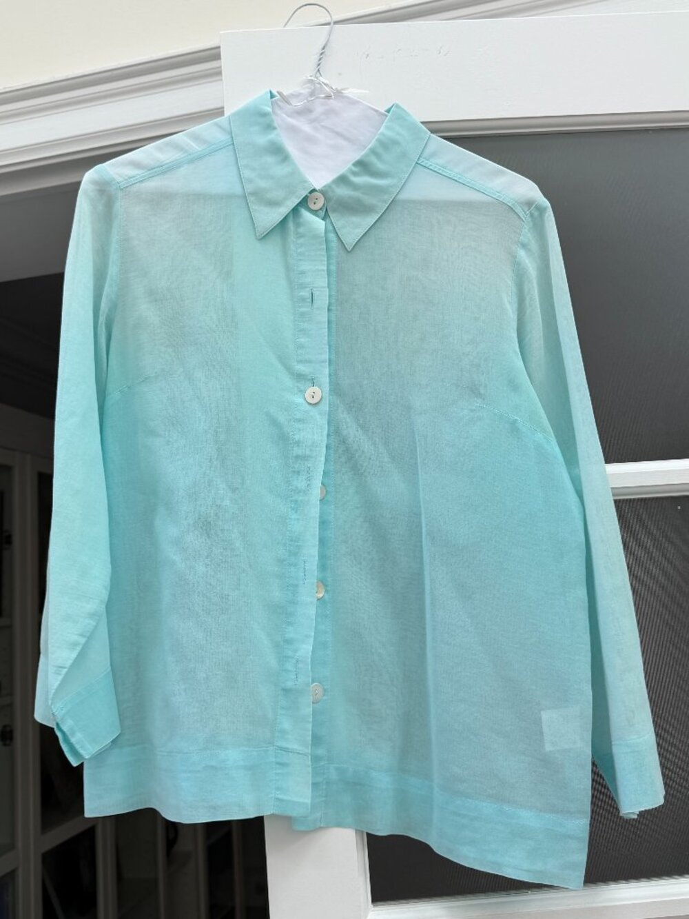 Women's Sheer Blouse